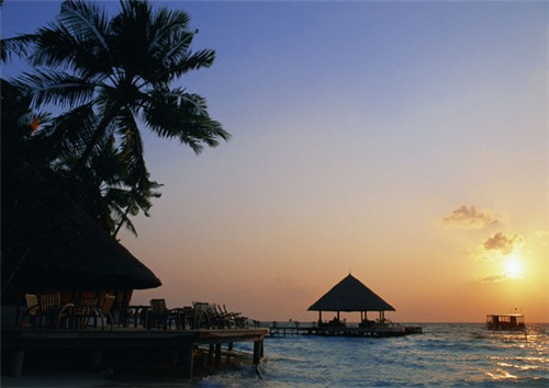 蔬婆婆蔬菜水果干