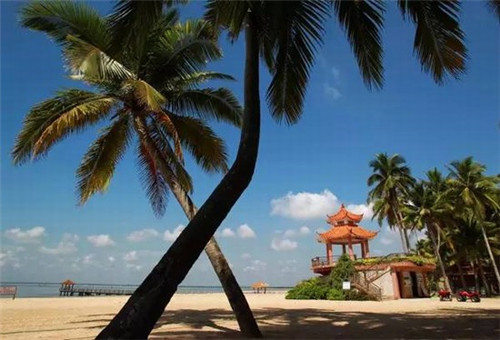 新手适不适合加盟名客佳鸡排