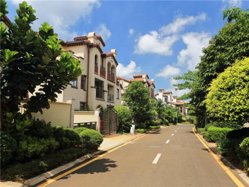 加盟冠源茗茶利润是高是低