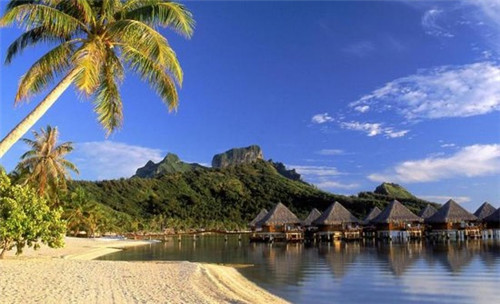 加盟虾忙虾滑饭大概投资多少钱，虾忙虾滑饭值得加盟吗