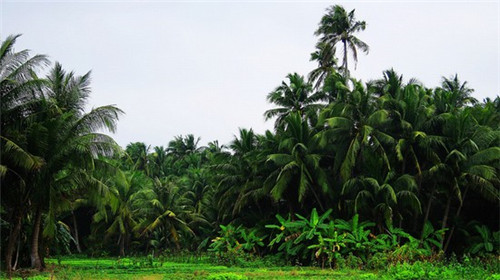 黄焖鸡米饭这个行业很好干吗，徐记黄焖鸡米饭加盟开店怎么样