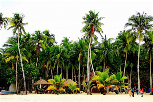 现在长沙开什么店创业最好