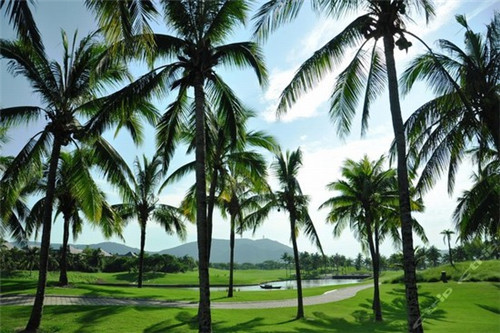 长春水煮鱼加盟费多少啊，长春吃水煮鱼的名店