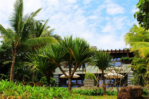 重庆口味炒芹菜怎么炒（重庆口味炒芹菜怎么炒好吃）