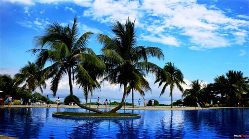 炒架豆王炒肉做法窍门（肉炒架豆王怎么做好吃）